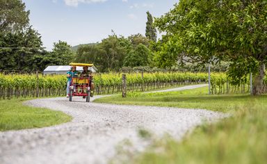 Riding through the vineyards in Martinborough, New Zealand