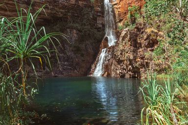Sandy_Creek_Falls_Litchfield