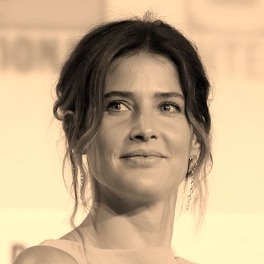 Photo of Cobie Smulders