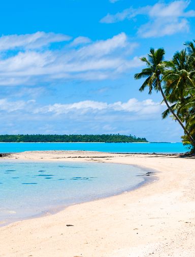 Palm trees by the lagoon on One Foot Island in the Cook Islands