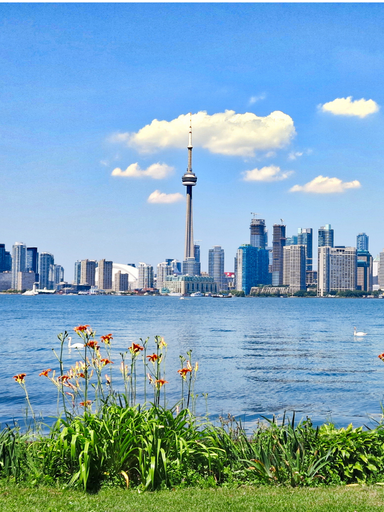 Toronto skyline on a sunny day