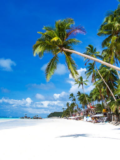 Palm trees on a white, sandy beach in Boracay