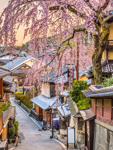 Kyoto's historic district in the Spring