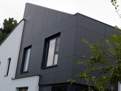 Ornimat EST11 Carbon, Fassadenplatte, Löwen, Villa, Renovierung