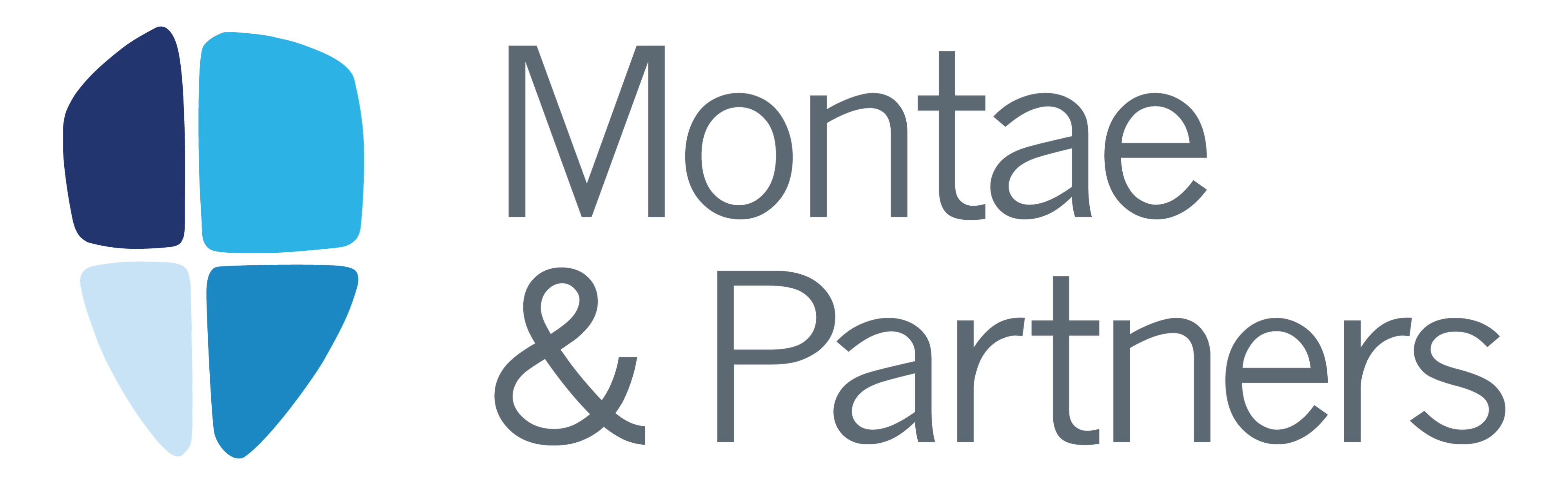 Logo Montae & Partners