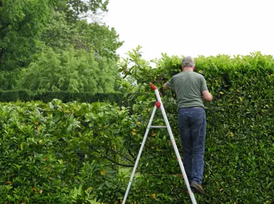 Ein Mann schneidet die Hecke in seinem Garten.