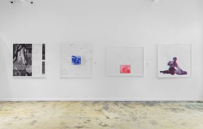 installation view of a white wall with four images of similar sizes hung up and horizontally aligned 