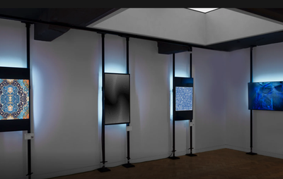 installation view of four dimly lit screens displaying NFTs