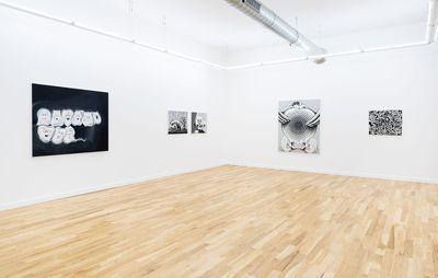 5 black and white pantings in a clear white gallery room, with a hardwood floor and bright lighting