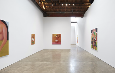White walled gallery space showing five paintings