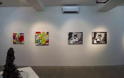 installation view of four paintings, two of which are monochrome depictions of cats