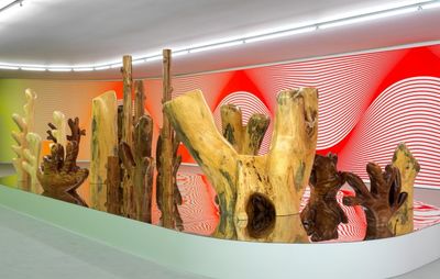 wooden blocks of coral sculptures on a platform in the centre of a brightly lit room