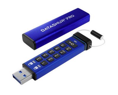 iStorage datAshur PRO 256 GB Secure Flash Drive