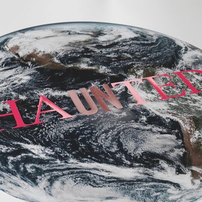 Image of earth with pink text across, Haunted by Cali Thornhill Dewitt - detail shot