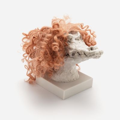 a sculpture of a crocodile head with a custom hair piece in ginger gradient, Nathalie Djurberg & Hans Berg