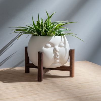 ceramic pot in form of babies face planted with grassy plant, mounted in wooden frame on a table
