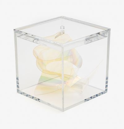 A mylar light knot housed in a perspex box by artist Larry Bell