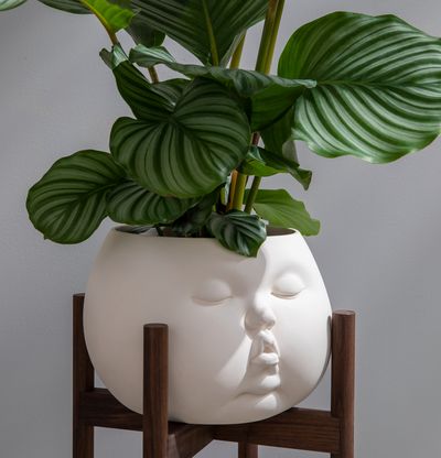 ceramic plant pot in shape of baby face mounted on wooden stand, with leaves emerging from the top