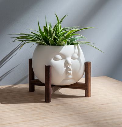 ceramic pot in form of babies face planted with grassy plant, mounted in wooden frame on a table