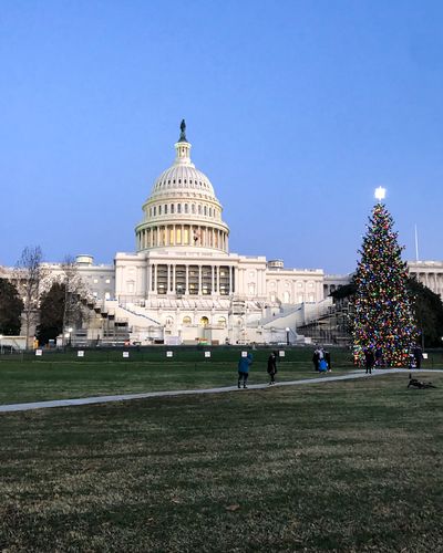 The US Capitol building in Washington DC