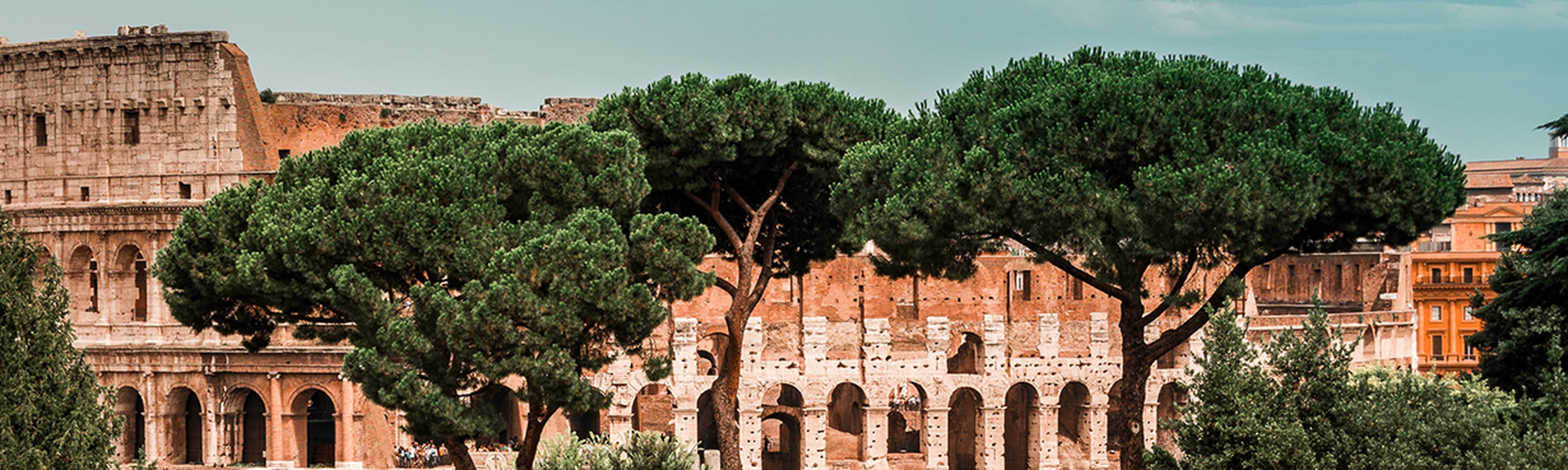 Colosseum with trees in Rome, Italy