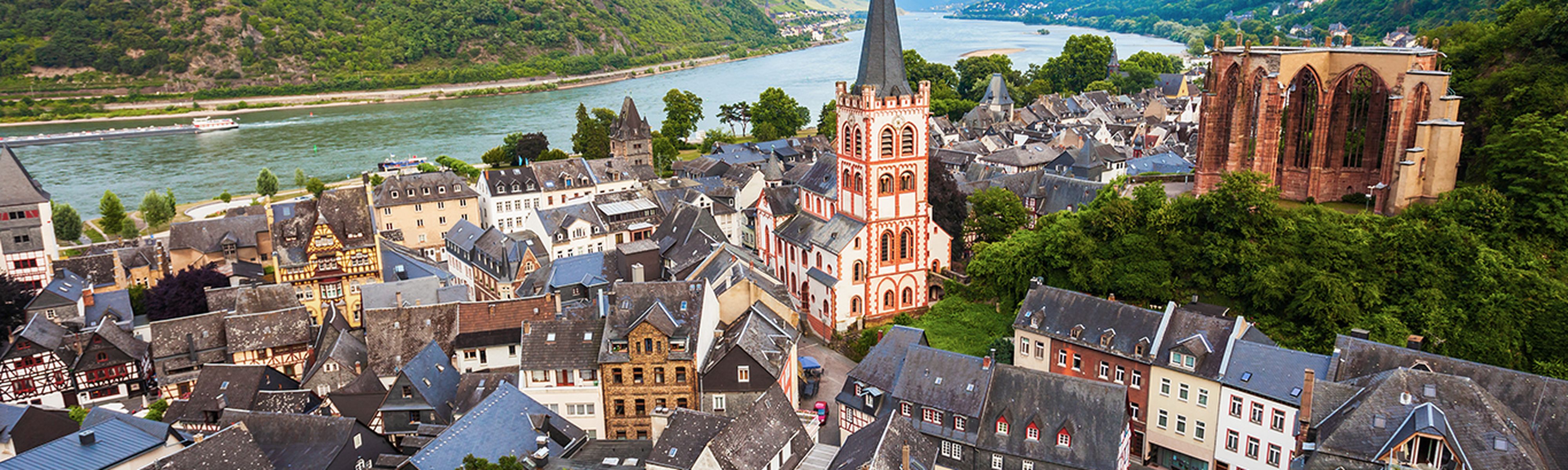 panoramic view of rhine valley with the river along the city