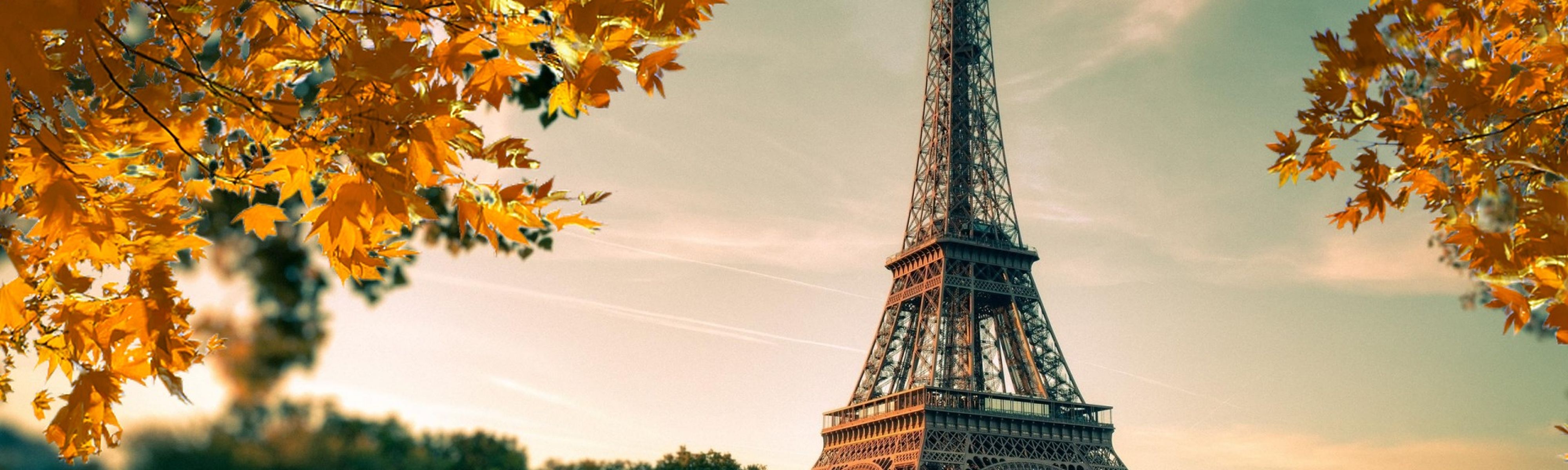 yellow leaves on trees surrounding eiffel tower in paris france