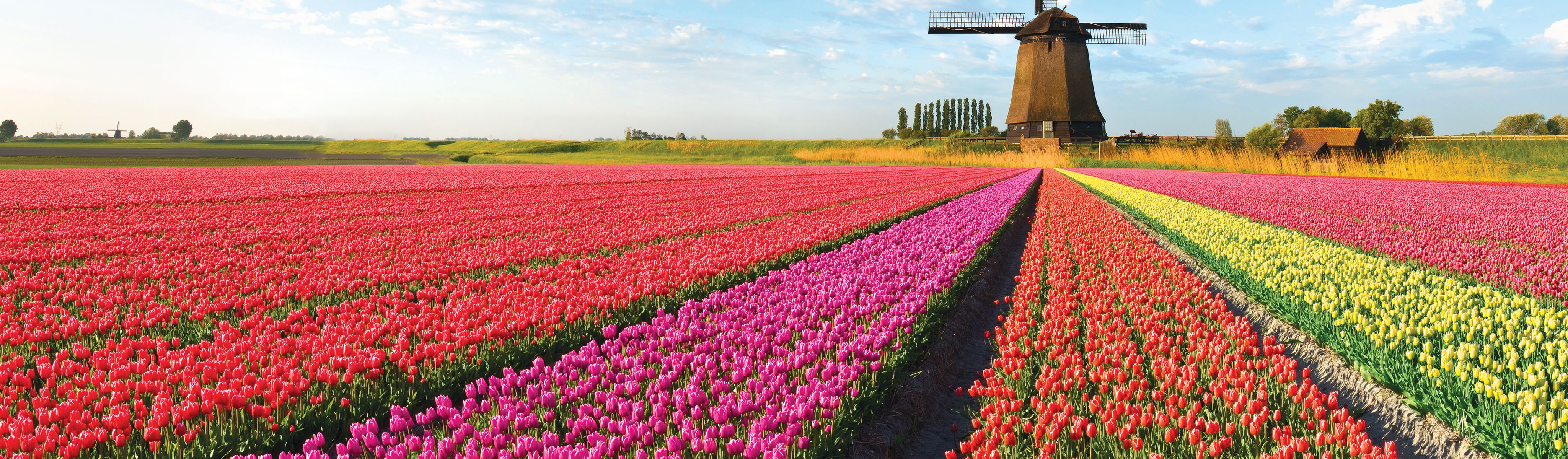 Guided Tours of The Netherlands | EF Go Ahead Tours