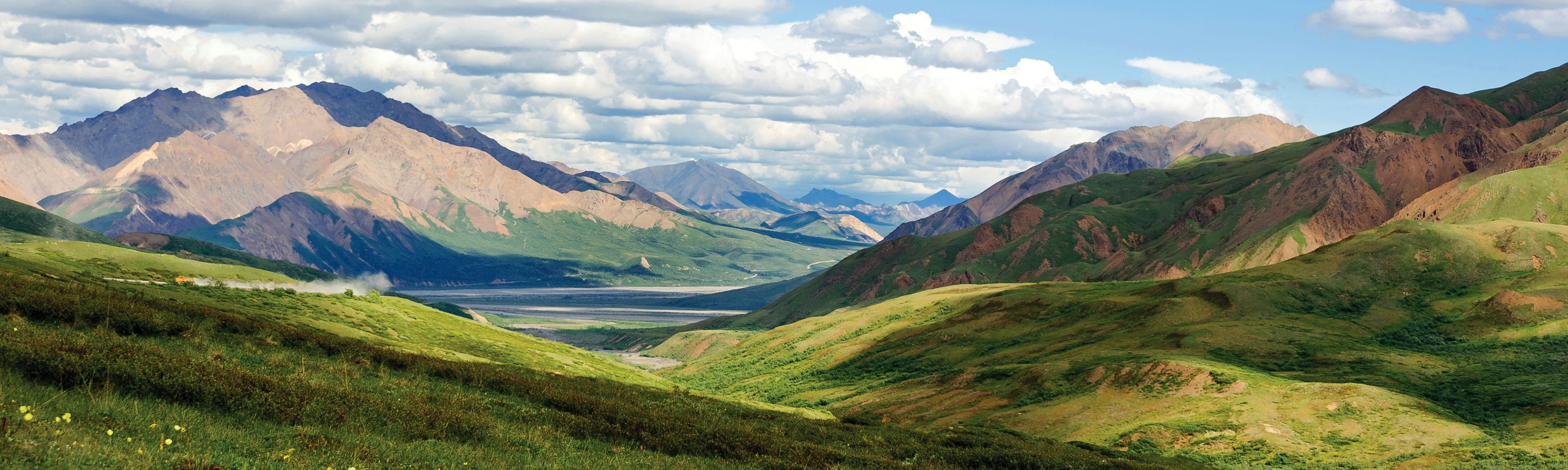 Denali National Park Tour & Wild Alaska Cruise EF Go Ahead Tours