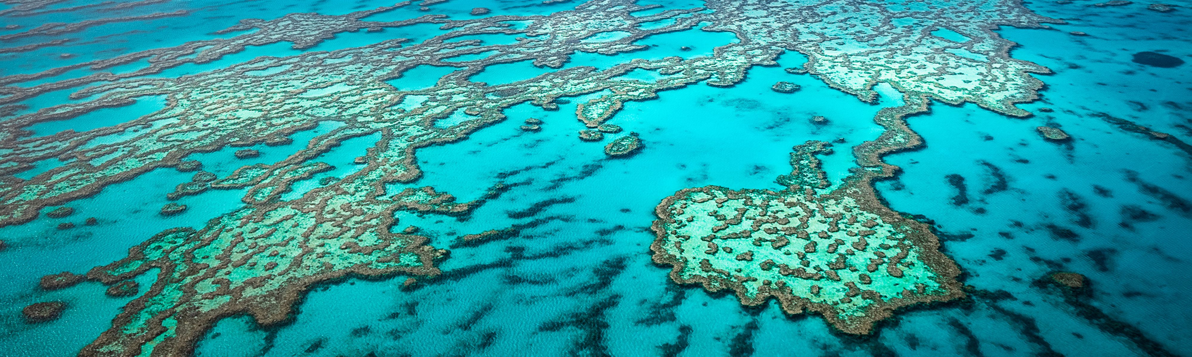 great barrier reef in Australia 