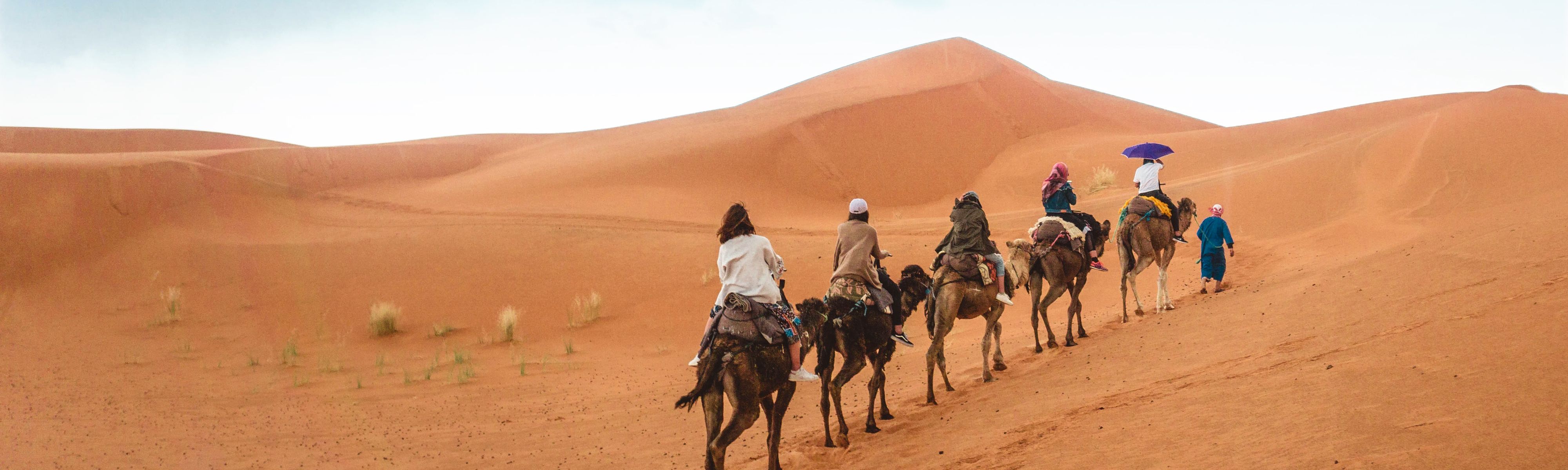 people riding camels through the sahara desert in morocco