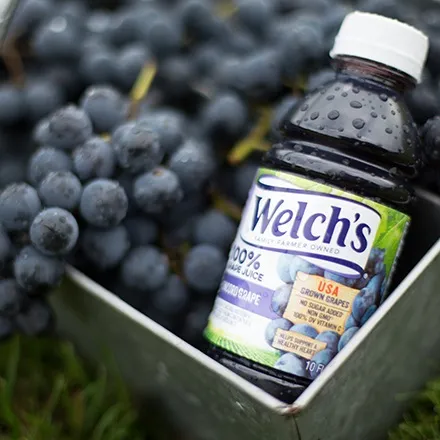 Bottle of Welch's 100% Grape Juice in a basket of Concord grapes.