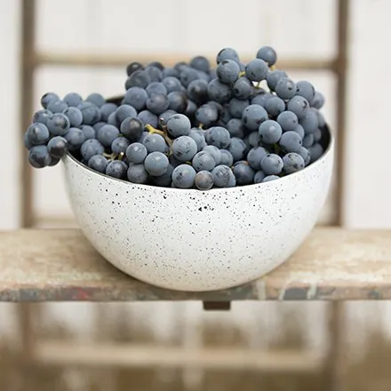 Speckled bowl overflowing with Concord grapes.
