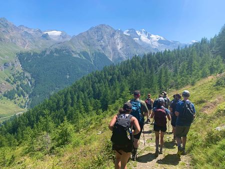 A group of hikers walking along a trail in the European Alps surrounded by green trees and green grass.