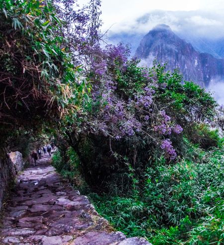 A pathway through Peruvian mountains towards Machu Picchu.