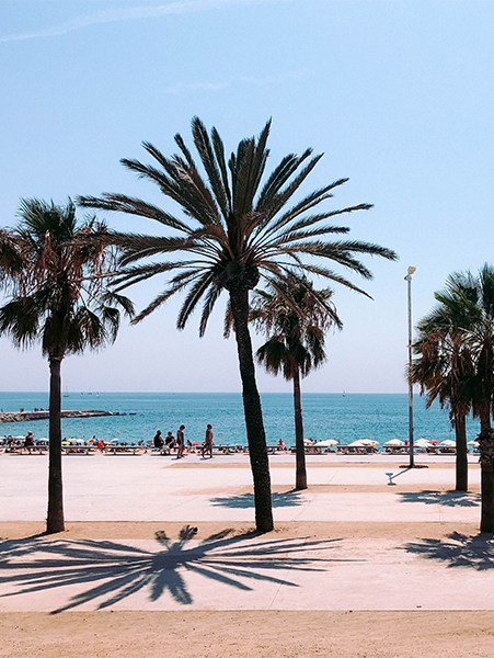 A beach in Barcelona.