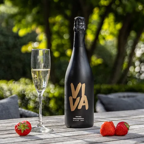 Bier van de maand: Viva Extra Brut