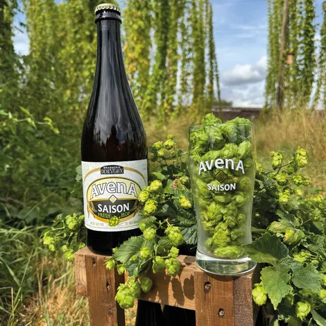 Bier van de maand september: Saison Avena Bio (75cl)