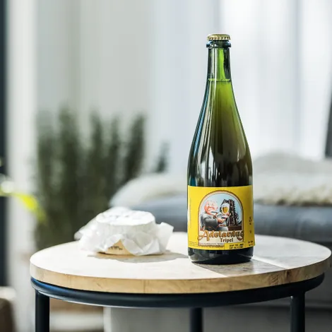 Bier van de maand: St. Adelardus Tripel