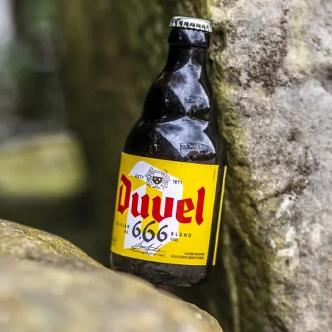 duvel666