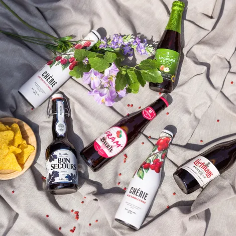 Fris & fruitig: onze beste fruitbieren