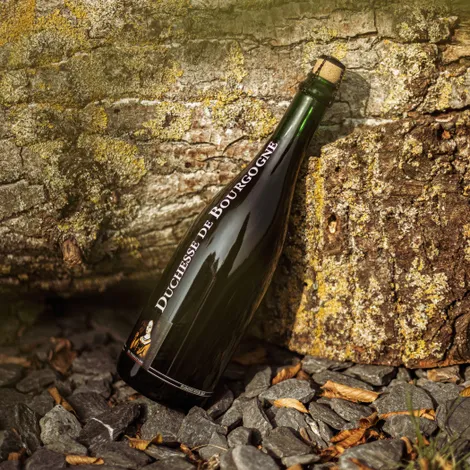 Duchesse De Bourgogne fles 75cl