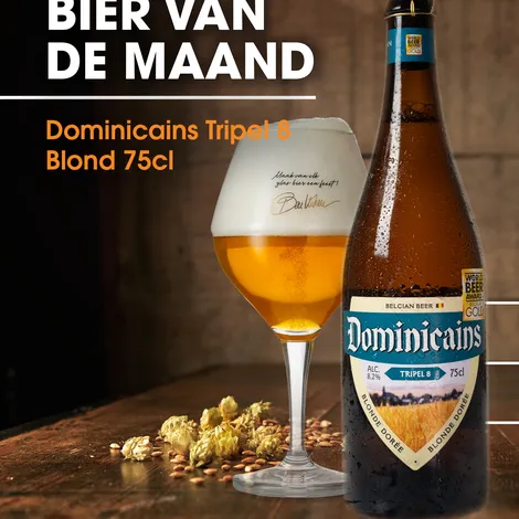 BVDM Dominicains