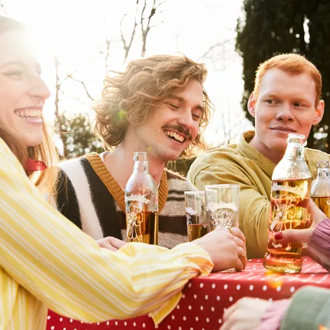Almdudler fles 35cl