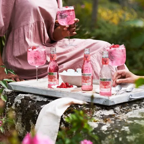Fever Tree Raspberry & Rhubarb clip 4 x 20cl
