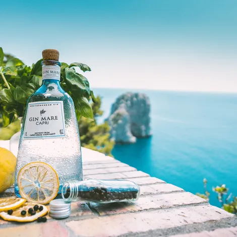 Gin Mare Carpri fles 70cl
