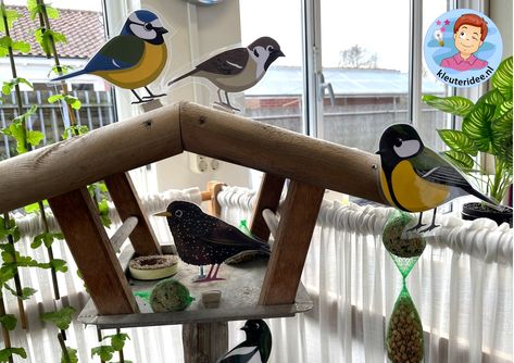 Vogelkijkhut, thema vogels voor kleuters, kleuteridee 