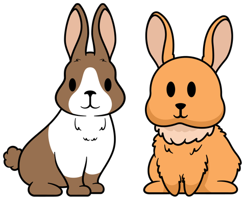 Phoebe's Pet Services