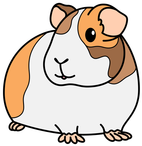 Phoebe's Pet Services