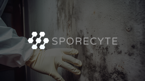 CSS video Sporecyte